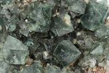 Fluorescent Green Fluorite Cluster - Lady Annabella Mine, England #235386-1